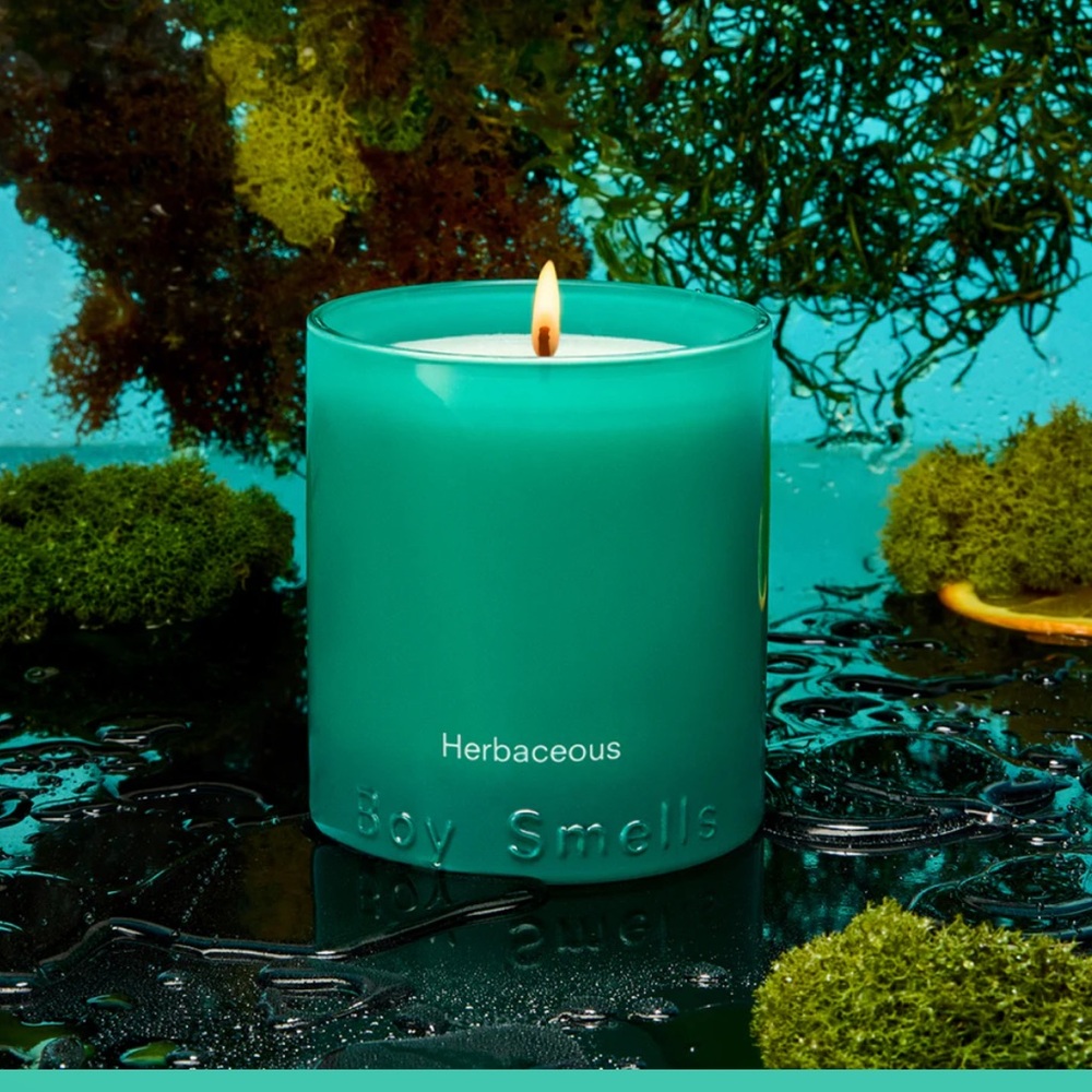 Boy Smells Herbaceous Boxed Candle NWT Not your Mama’s herb garden! - Picture 4 of 14